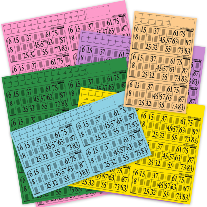 Bingokaarten om af te stempelen - 500 velden vel (84g)